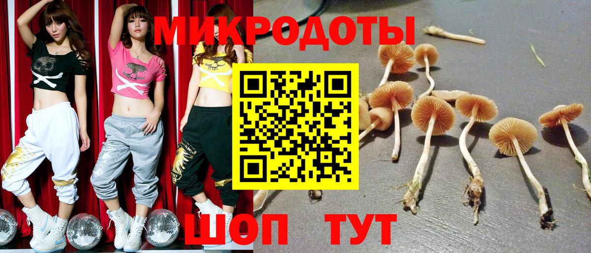 Галлюциногенные грибы GOLDEN TEACHER  Вход с VPN  Псилоцибиновые грибы Psilocybine cubensis  Астрахань 