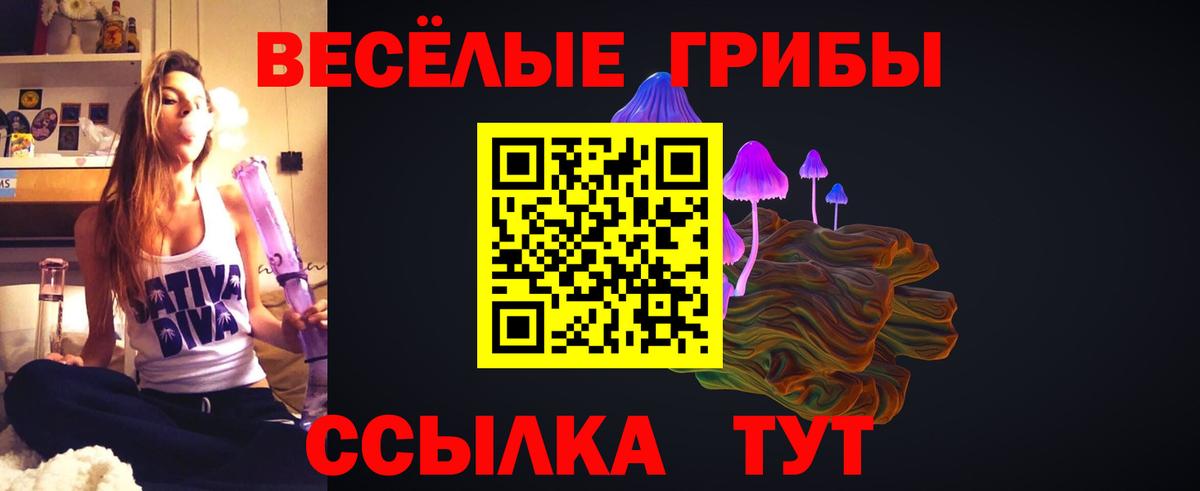 Псилоцибиновые грибы Psilocybe Астрахань